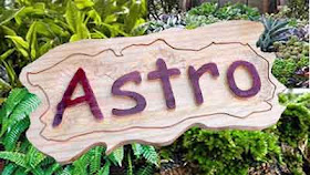 Placa de madeira pinus com bordas orgânicas e o nome "Astro" entalhado em alto relevo com letras escurecidas, instalada em jardim