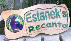 Placa de cedro branco com bordas orgânicas, texto "Estanek's Recanto" em alto relevo pintado em verde e um medalhão redondo colado com pintura de flor