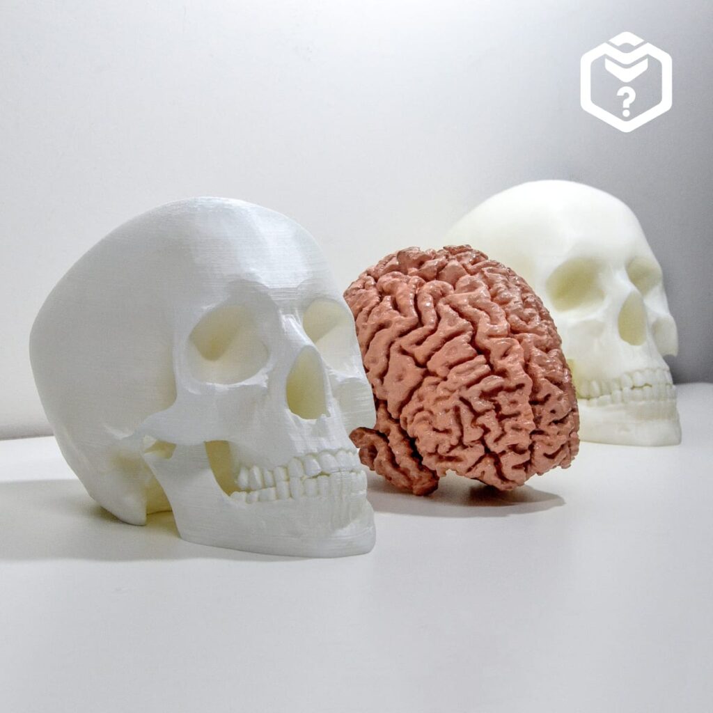 Caveiras e cérebro